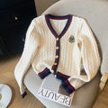 New Autumn V Neck Knitted Pullover Top